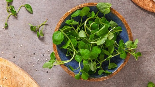 Loại rau được ca ngợi “tốt nhất thế giới”, bán đầy ở chợ Việt