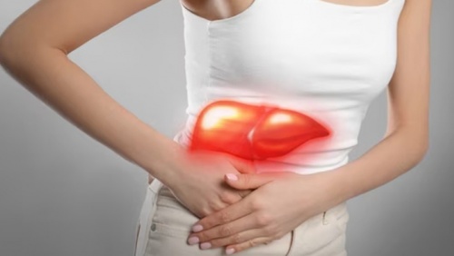 Tại sao phụ nữ tích tụ mỡ gan nhanh hơn sau tuổi 45?