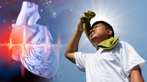 Cách bảo vệ tim mạch trong thời tiết nắng nóng