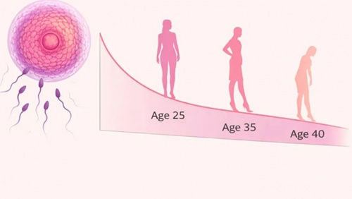 Cơ hội mang thai thay đổi thế nào theo từng độ tuổi?