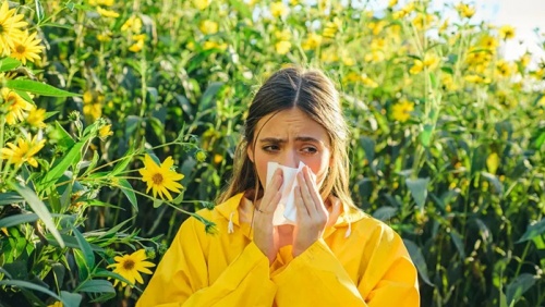 Cải thiện triệu chứng viêm mũi dị ứng về đêm