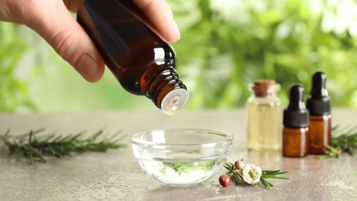 Chăm sóc tóc mùa Hè với tinh dầu tràm trà