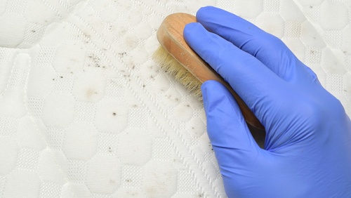 Cách xử lý quần áo ố vàng và nấm mốc