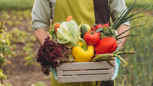 Thực phẩm hữu cơ không đồng nghĩa với an toàn thực phẩm tuyệt đối