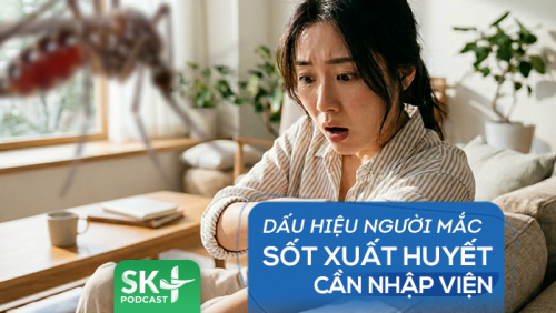 Podcast: Dấu hiệu người mắc sốt xuất huyết cần nhập viện
