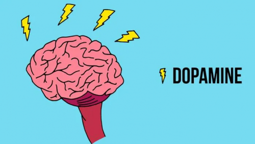 Dopamine giúp đảo ngược tình trạng Alzheimer?