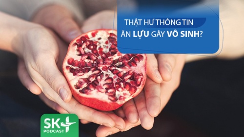 Podcast: Thật hư thông tin ăn lựu gây vô sinh?