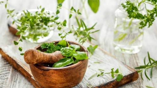 Bảo quản các loại rau thơm, gia vị phương Tây thế nào?