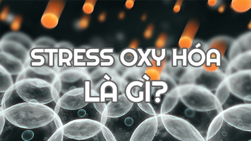 6 yếu tố làm gia tăng stress oxy hóa, tình trạng viêm trong cơ thể 