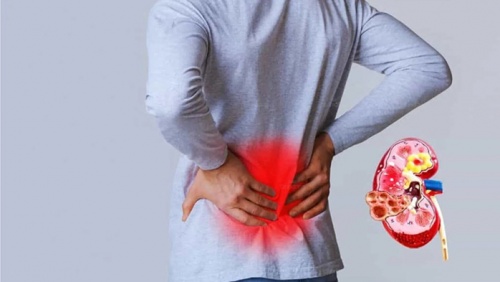 Thận yếu: Làm sao để bảo vệ chức năng thận? 