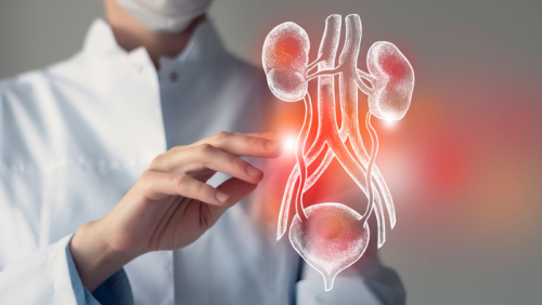 Phát hiện loại vi khuẩn ít được chú ý có thể gây viêm đường tiết niệu