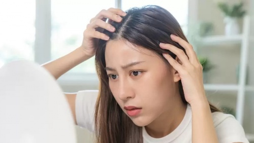 Vì sao mùa Thu là “mùa rụng tóc”?
