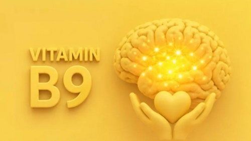 Mệt mỏi, hay quên có phải thiếu hụt vitamin B9?