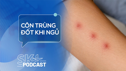 Podcast: Sai lầm cần tránh khi bị côn trùng lạ đốt khi ngủ