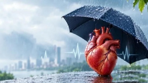 Mùa mưa ảnh hưởng đến sức khỏe tim mạch thế nào? 