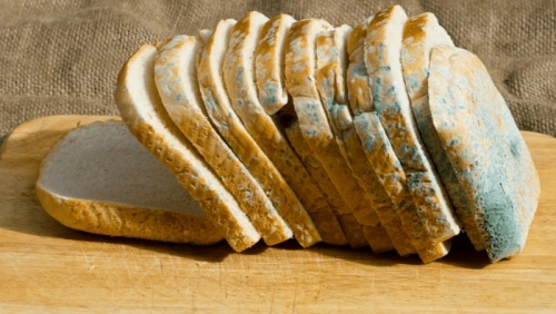 Mẹo bảo quản bánh mì không lo mốc