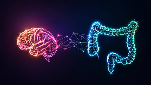 Vi khuẩn đường ruột có liên quan đến nguy cơ Alzheimer? 