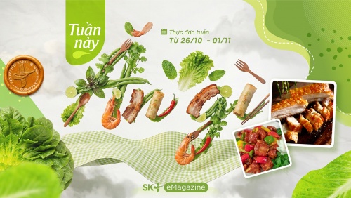 Thực đơn cơm ngon 7 ngày nhanh gọn, đủ chất