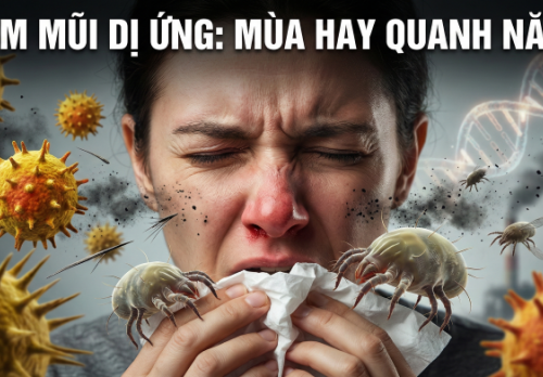 Viêm mũi dị ứng: Vì sao có người bị theo mùa, người lại mắc quanh năm?