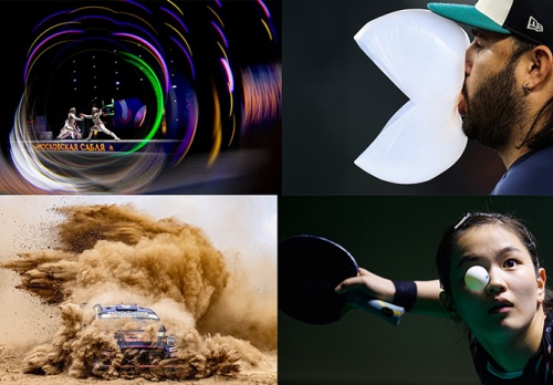 Ngắm những khoảnh khắc thể thao thế giới ấn tượng nhất năm 