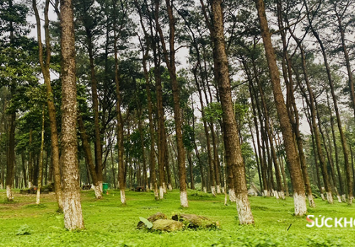 Điểm đến “tránh nóng” cho kỳ nghỉ ngắn ngày tại Hà Nội