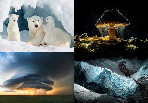 Những bức ảnh ấn tượng nhất Giải thưởng Nhiếp ảnh Sony năm 2026