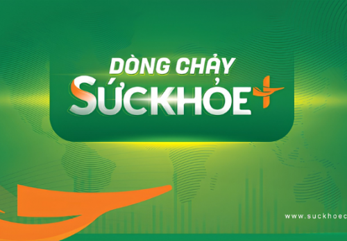 Mỡ máu cao khi mang thai nên ăn uống như thế nào?