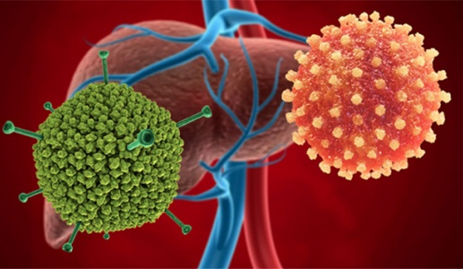  Adenovirus là 'thủ phạm' gây bệnh viêm gan bí ẩn ở trẻ em?
