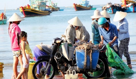 Sáng sớm đi chợ cá, trải nghiệm thú vị khi đến Đà Nẵng