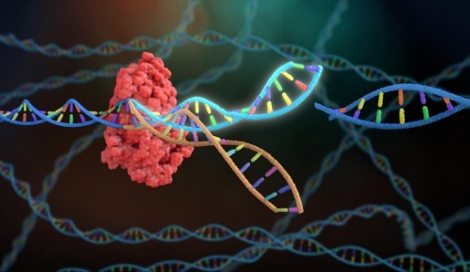 Đột phá trong điều trị ung thư bằng công nghệ chỉnh sửa gene 