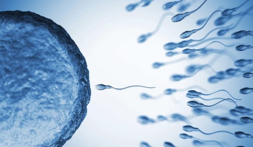Đột phá: Thuốc tránh thai cho nam giới khiến tinh trùng 'ngừng bơi' tạm thời