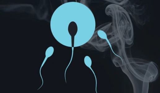 Khói thuốc lá làm suy giảm chất lượng tinh trùng