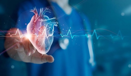 Đột phá: 'Hồi sinh' tim khi đã ngừng tuần hoàn để ghép tim