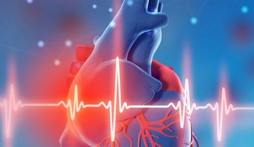 Mới phát hiện bị suy tim, nhịp tim chậm nên bổ sung gì?