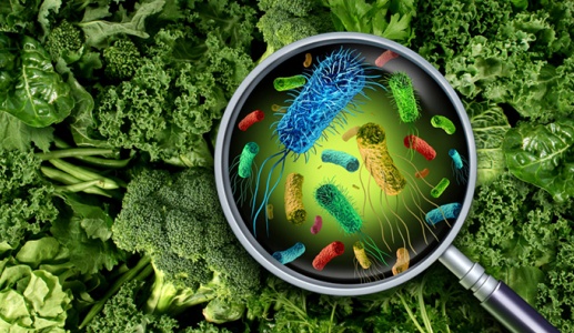 Thiết bị nhỏ bằng bàn tay giúp phát hiện E.coli gây ngộ độc thực phẩm