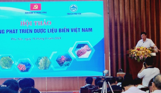 Biển Việt Nam có nhiều nguồn dược liệu quý phục vụ y học