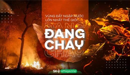 Vùng đất ngập nước lớn nhất thế giới… đang cháy 