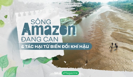 Sông Amazon đang cạn & tác hại từ biến đổi khí hậu