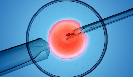 Liệu có thể áp dụng AI vào IVF?