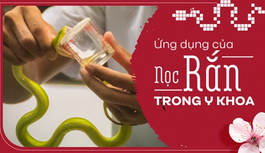 Ứng dụng của nọc rắn trong y khoa