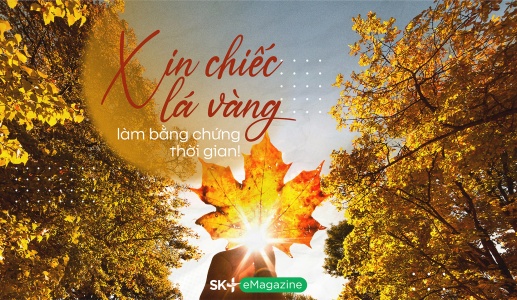 Xin chiếc lá vàng làm bằng chứng thời gian!