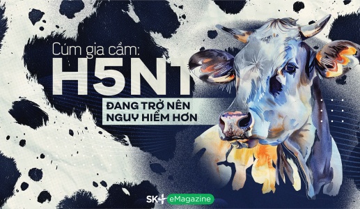 Cúm gia cầm: H5N1 đang trở nên nguy hiểm hơn