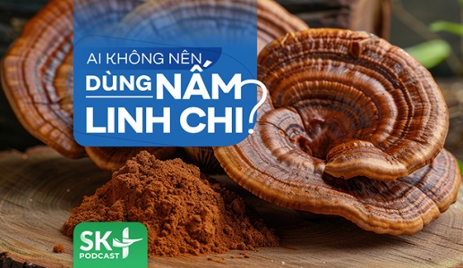 Podcast: Ai không nên dùng nấm linh chi?