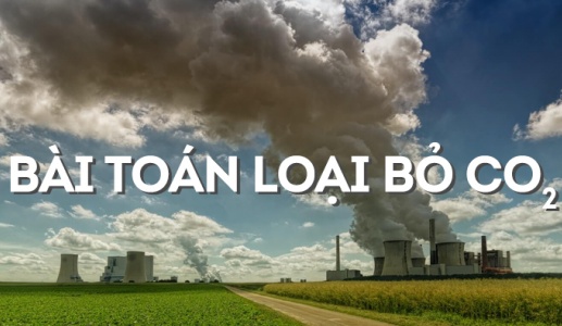 Loại bỏ carbon dioxide: Hướng dẫn thực hành tốt cho doanh nghiệp