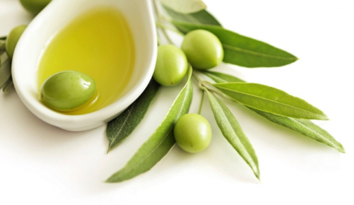 Lá olive và những công dụng cho sức khoẻ 