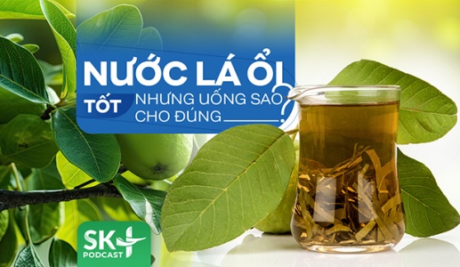 Podcast: Nước lá ổi tốt nhưng uống sao cho đúng?