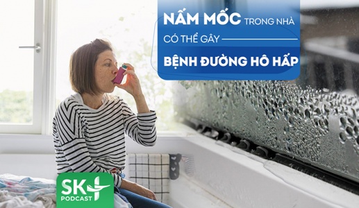 Podcast: Cảnh giác nấm mốc trong nhà có thể gây bệnh đường hô hấp