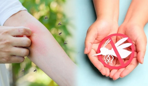 Bộ Y tế cảnh báo sốt xuất huyết bắt đầu vào mùa