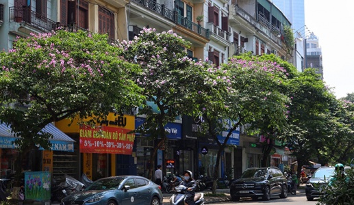 Miền Bắc nắng trở lại, Trung Bộ và Nam Bộ mưa to cục bộ