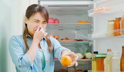 Đừng để tủ lạnh thành ổ chứa vi khuẩn